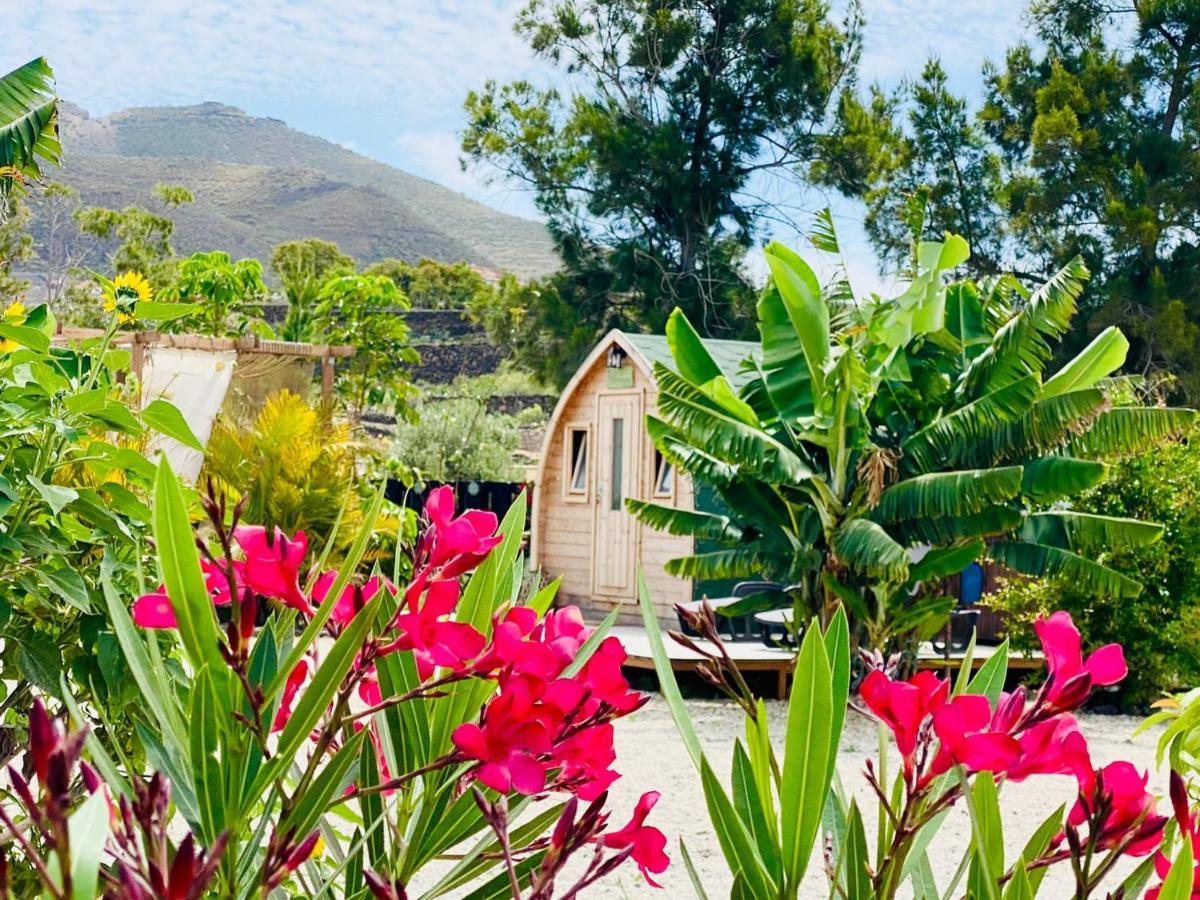 Lykke Suite Spa Sauna Piscina Y Jardin Buzanada Eksteriør bilde